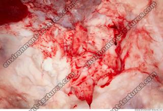 Photo Textures of RAW Beef Meat